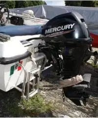 Barca a motore