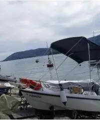 Barca a motore
