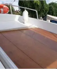 Barca a motore