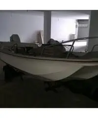 Trimarano 