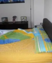 Casa indipendente in Vendita a Meldola Casa indipendente in Vendita a Meldola