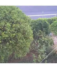 Appartamento in vendita a Camogli, San Rocco