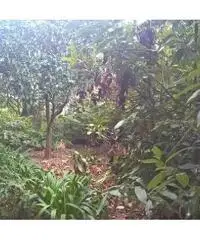 Appartamento in vendita a Camogli, San Rocco