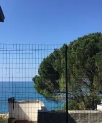 Casa Scuba Diving