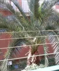 Vendita Bilocale in Via Torre del Menegotto