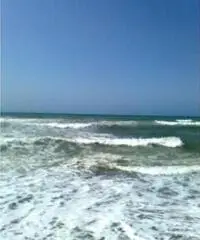 Vendita Bilocale in via Luigi Arpinati