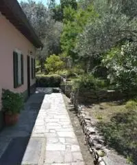 Vendita villa mq. 140 - Zona Ruta Di Camogli