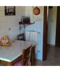 Zona Barbanella