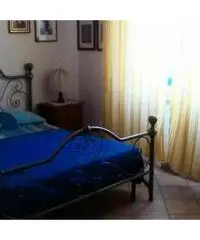 Zona Barbanella