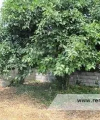 Avezzano -  Villa 8 locali € 85.000 T715