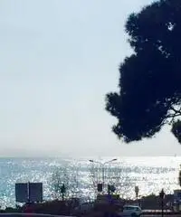 Appartamenti degli Aranci