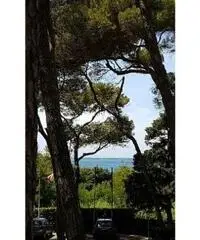 APPARTAMENTI - CIVILE ABITAZIONE - ROSIGNANO MARITTIMO