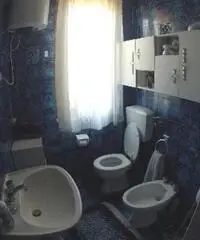 APPARTAMENTI - CIVILE ABITAZIONE - ROSIGNANO MARITTIMO