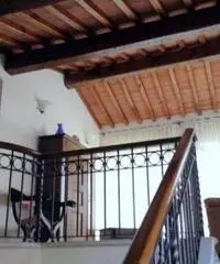 Marina Di Pietrasanta: Vendita Villa da 147mq