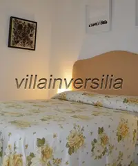 Villa singola in vendita a MARINA DI PIETRASANTA - Pietrasanta 347 mq