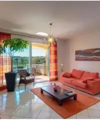 Vendita Trilocale in Viale Scarfiotti