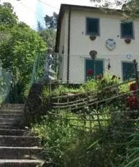 Casetta Forte dei Marmi