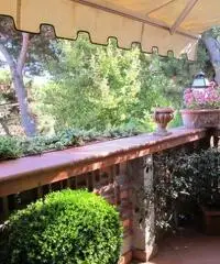 Versilia nuda proprietà ATTICO 140 mq con terrazzo 50 mq
rif.898