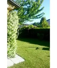 Villa Mirella