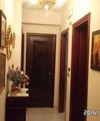 Vendita Cinque locali in Via Francesco Spoto