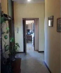 quadrilocale Segrate mq 150 Euro 230.000