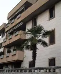 ECCELLENTE E RECENTE PLURILOCALE CON TERRAZZO - Appartamento in Vendita a Paderno Dugnano