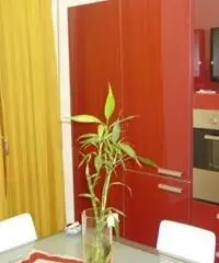 MODENA S. Faustino App.to Ristrutturato finemente