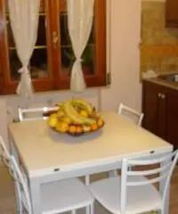 MODENA Zona S. Agnese App.to RISTRUTTURATO in bifamiliare piano terra