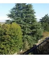 Vendita Quadrilocali in Via Duca degli Abruzzi