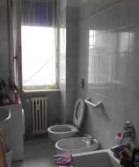Villasanta(MB): 2 locali più servizi. Cantina e Balcone.