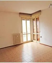 Ampio 2 locali con cantina a.... 39.000 Euro! Ampio 2 locali con cantina a.... 39.000 Euro!