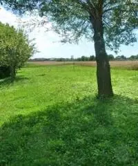 rif: ADR - Villa a Schiera in Vendita a Saonara