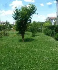 rif: ADR - Villa a Schiera in Vendita a Saonara