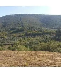 A100LA - Quadrilocale a Corciano