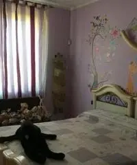 rif: CP1909 - Appartamento in Vendita a Gragnano Trebbiense