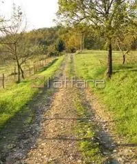 Colonica/casale in vendita a PERIGNANO - Casciana Terme Lari 550 mq