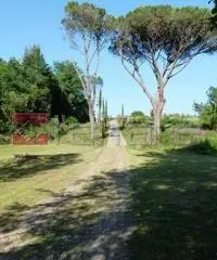 Colonica/casale in vendita a PERIGNANO - Casciana Terme Lari 550 mq