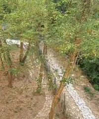 Stabile/Palazzo in vendita a Calci 520 mq
rif: 7927