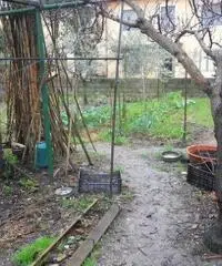 Terratetto in vendita a PUTIGNANO PISANO - Pisa 140 mq