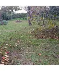 Terratetto in vendita a MARCIANA - Cascina 120 mq