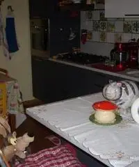 APPARTAMENTO di 3 vani e di 65 mq (CARMIGNANO)