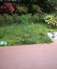 APPARTAMENTO di 3 vani e di 65 mq (CARMIGNANO)