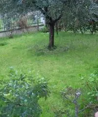 APPARTAMENTO di 4 vani e di 92 mq (CARMIGNANO)