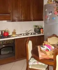 Prato ( adiacenze Pratilia ) appartamento di due vani con terrazzo abitabile, soggiorno con angolo c