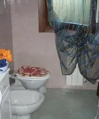 Prato ( adiacenze Pratilia ) appartamento di due vani con terrazzo abitabile, soggiorno con angolo c