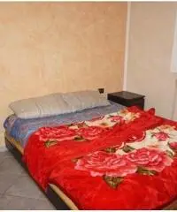 Castiglione di Ravenna, bilocale con tavernetta vicino al centro