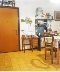 Pinarella, appartamento tre camere e due bagni