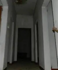 Stabile in Vendita a Riolo Terme