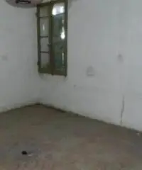 Stabile in Vendita a Riolo Terme