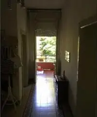 Marina Centro: Vendita Cinque locali in Viale Paolo Mantegazza